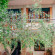 Photos  Il Poggiolino Villa B&B 