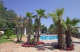 New photos from tourists Airone 3*