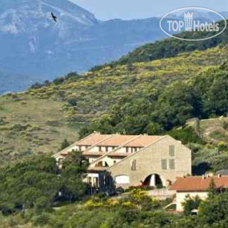 Фото Federico II Hotel