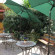 Photos  Da Stella Bed And Breakfast