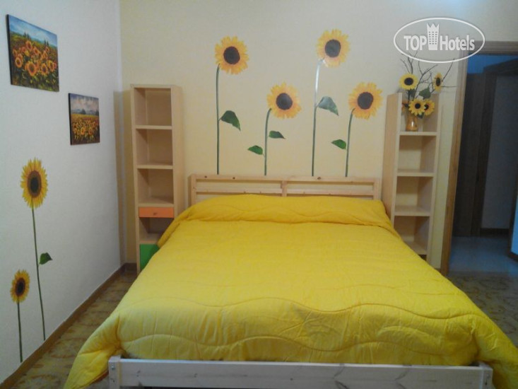 New photos from tourists Domus Florea B&B