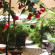 Photos Villa del Parco