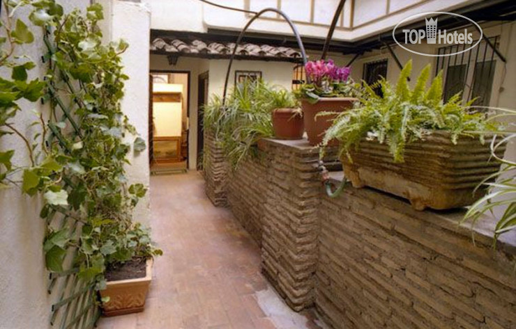 Hotelier's photos Campo Di Fiori Apartment 3*