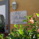Photos Best Western Villafranca