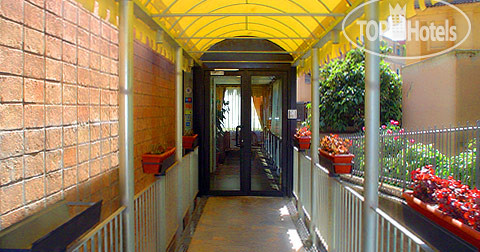 Новые добавленные фото туристов Farnesina 3*