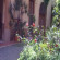 Photos B&B Giovy