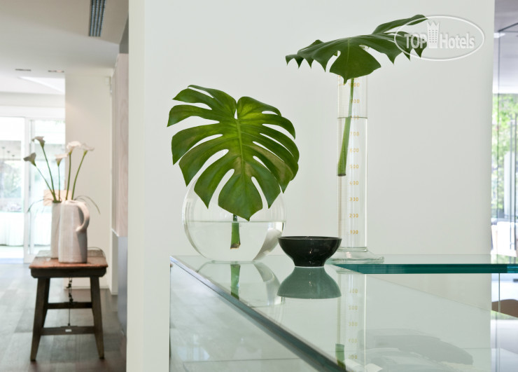 New photos from tourists Mare Pineta Resort 5*