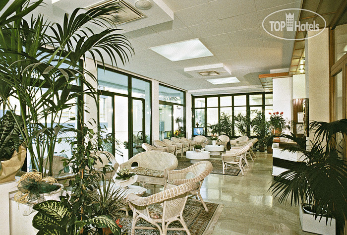 Hotel photo Chic 3*