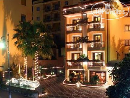 Hotel photo Michelangelo 4*