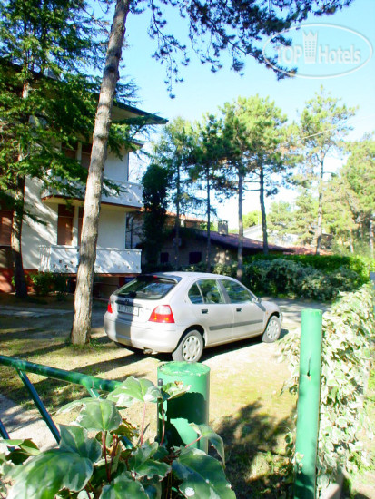 New photos from tourists Lily APT