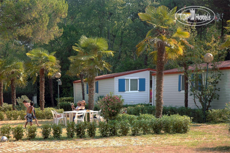 Новые добавленные фото туристов Camping Village Pino Mare 4*