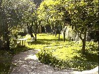 New photos from tourists Villa Ariana 3*