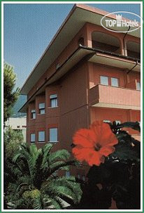 Hotel photo Le Palme 4*