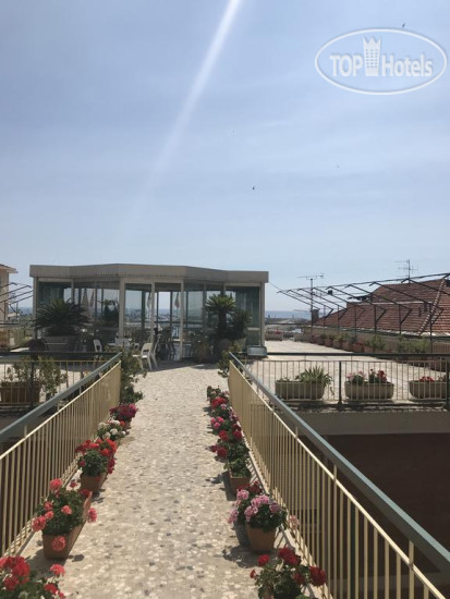New photos from tourists Robinia 3*