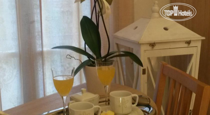 New photos from tourists Camelia Hotel 2*