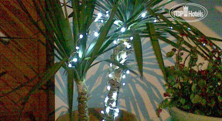 New photos from tourists Casa Di Claudia B&B