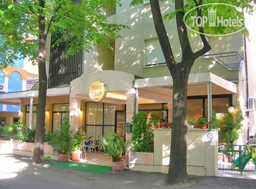 Hotelier's photos Dear 3*