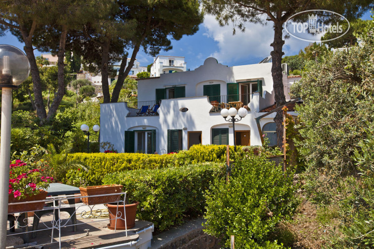 Hotelier's photos Don Felipe 3*