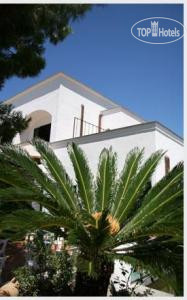Hotel photo Ideal 3*