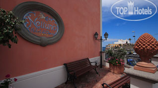 Hotel photo Nettuno 4*