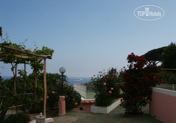 New photos from tourists Villa Pina 3*