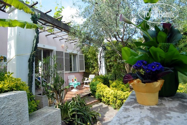 New photos from tourists Terme Colella 3*
