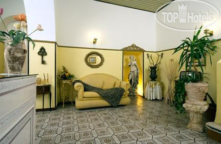 Новые добавленные фото туристов Villa Diana 3*