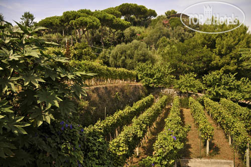 Hotelier's photos Castiglione Parco Termale Hotel Oasi 4*