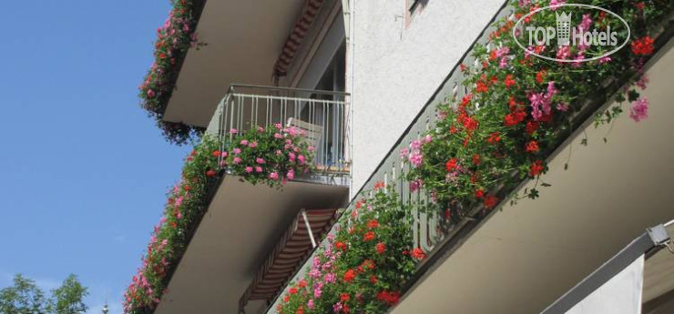 Hotel photo Villa Aquila - Adler 3*