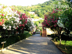 Hotelier's photos Villaggio Hotel Club Calanovellamare 3*