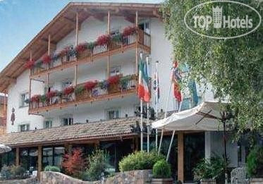 Hotelier's photos Los Andes hotel Castello di Fiemme 3*