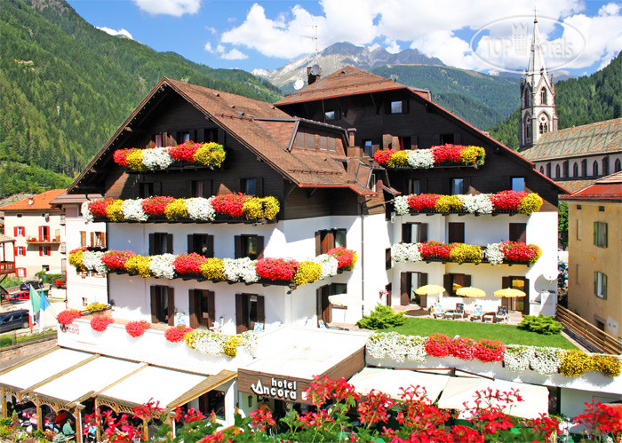 Hotelier's photos Ancora hotel Predazzo 4*