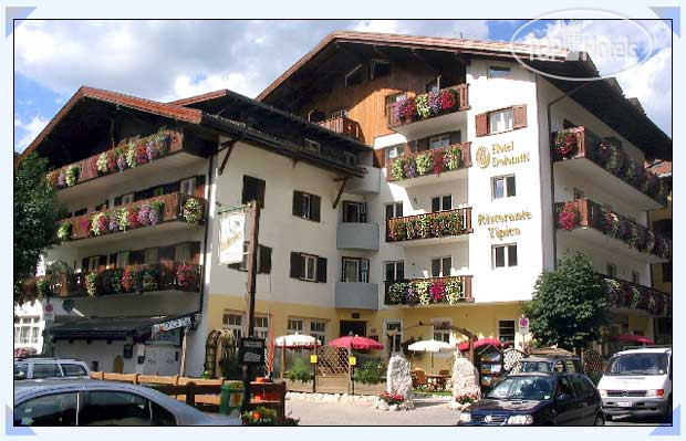 Hotel photo Dolomiti Hotel Moena 4*