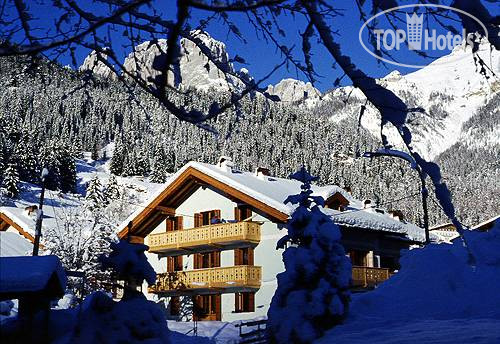 New photos from tourists Villa Artic 4*