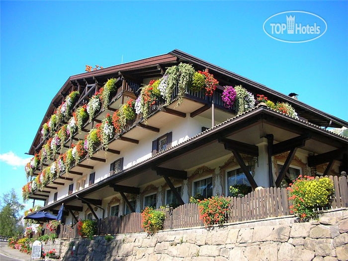New photos from tourists Belvedere hotel Moena 3*
