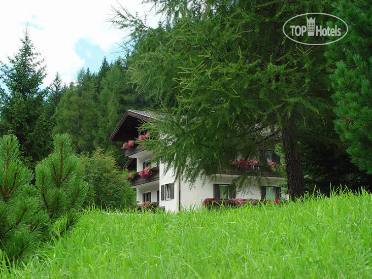 Hotelier's photos Albergo Clara 2*