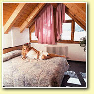 New photos from tourists La Betulla 3*