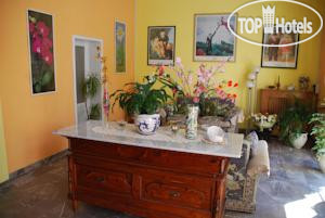New photos from tourists Conchiglia 2*