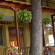 Photos Minaides Hotel