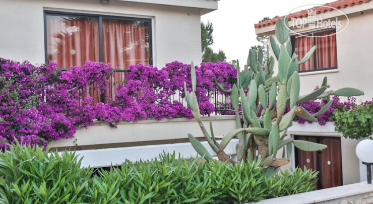 Hotelier's photos Tavros Hotel 3*