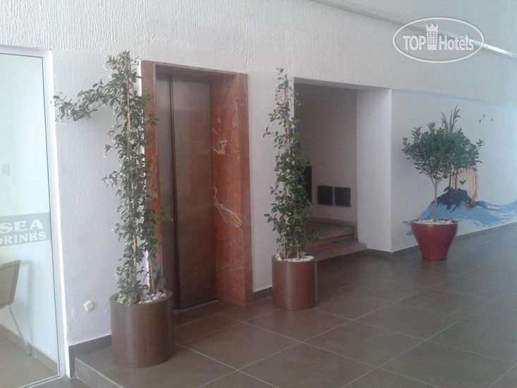 Новые добавленные фото туристов Palm Sea Holiday Beach Apartments