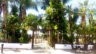 New photos from tourists La Casa Di Napa