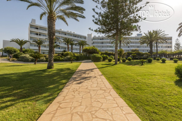 New photos from tourists Nissi Beach 4*