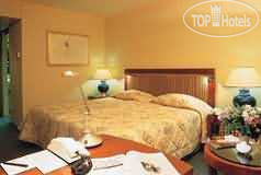 New photos from tourists Hilton Amsterdam Airport Schiphol hotel 5*