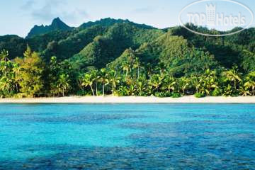 Hotel photo Royale Takitumu Villas 3*