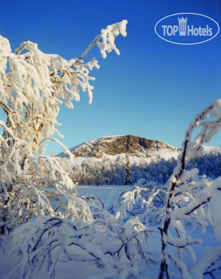 Фото Skogstad