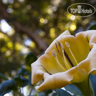 Photos Hotel Apartments Aldeia da Fonte