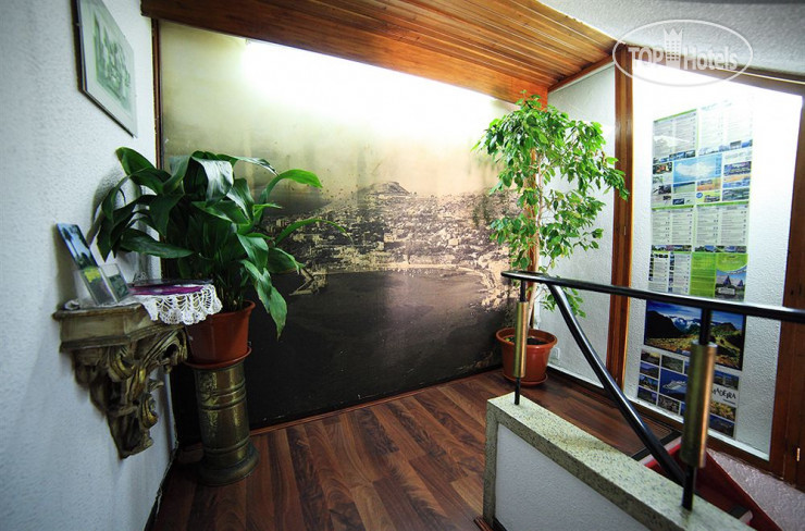 Hotelier's photos Residencial Funchal