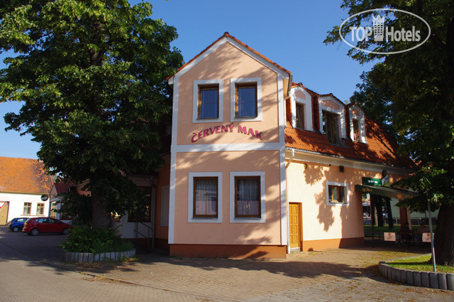 Photos Cerveny Mak