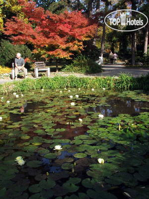 New photos from tourists Magnolia 4*